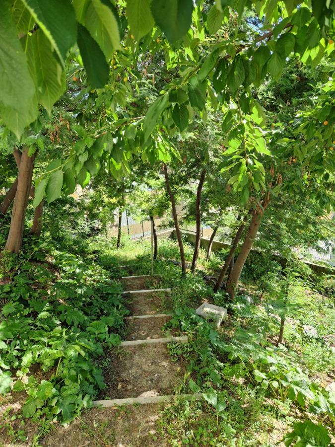 Garden & View